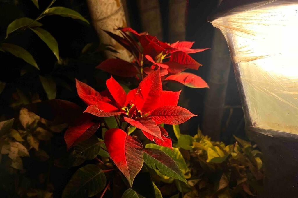Valecha Villa Entire 4Bhkbunglow With 5000 Sq Ft Garden Lonavala Bagian luar foto